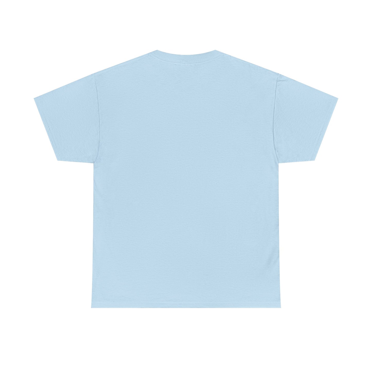 Your Feelings Are Valid Tee | Positive Message Unisex Heavy Cotton T-Shirt, Self-Care Gift, Mental Health Awareness, Casual Wear
